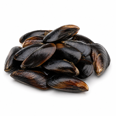 Sainsbury's Fresh Food Fish Chillian Mussels