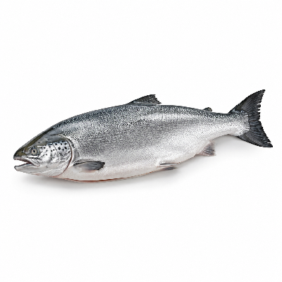 Sainsbury's Fresh Food Fish Whole Salmon