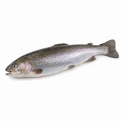 Sainsbury's Fresh Food Fish Whole Trout-Salmon-and-Trout