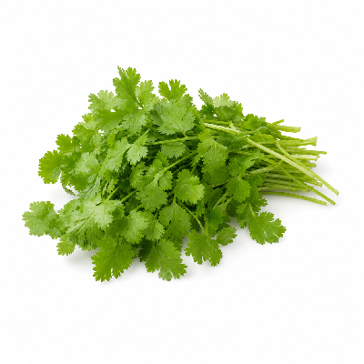 Sainsbury's Fresh Food Gourmet Garden Coriander Herb Blend