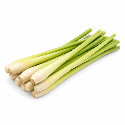 Sainsbury's Fresh Food Gourmet Garden Lemongrass