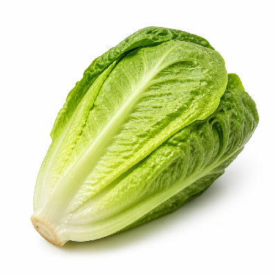 Sainsbury's Fresh Food Lettuce Cos