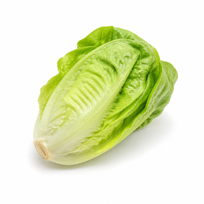 Sainsbury's Fresh Food Lettuce Little Gem