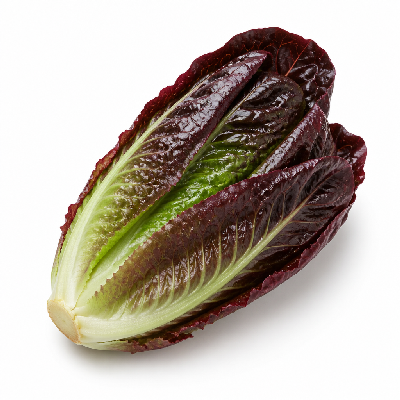 Sainsbury's Fresh Food Lettuce Red Mini Cos