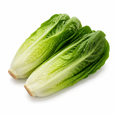Sainsbury's Fresh Food Lettuce Romaine Hearts Twin Pack