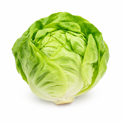 Sainsbury's Fresh Food Lettuce Sweet Gem Taste the Difference