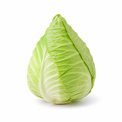 Sainsbury's Fresh Food Pointed Cabbage Organic Fairtrade & Organic