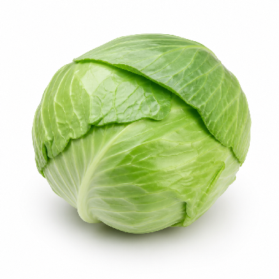 Sainsbury's Fresh Food Vegetables Green Cabbage Basics