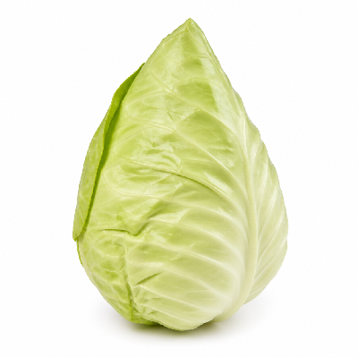 Sainsbury's Fresh Food Vegetables Green Pointed Cabbage Organic