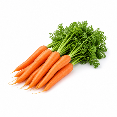Sainsbury's Fresh Food Vegetables Root Carrots Bunched Taste the Difference