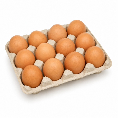 Sainsbury's Fresh Food Woodland Large Eggs Organic