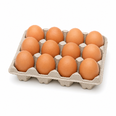 Sainsbury's Fresh Food Woodland Large Eggs Organic Fairtrade & Organic