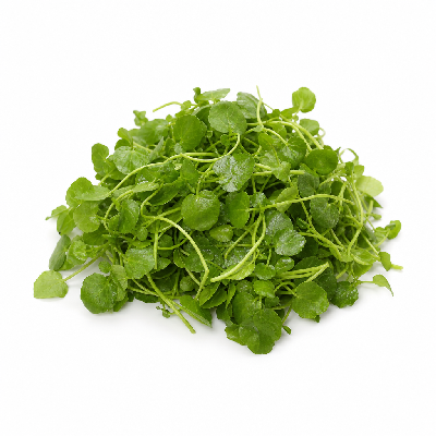 Sainsbury's Hot & Peppery Watercress Leaves