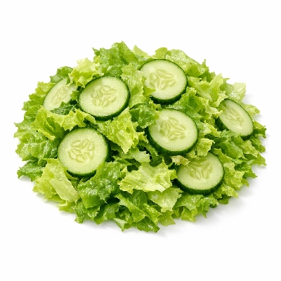 Salad with Cucumbers Lettuce and Dressing