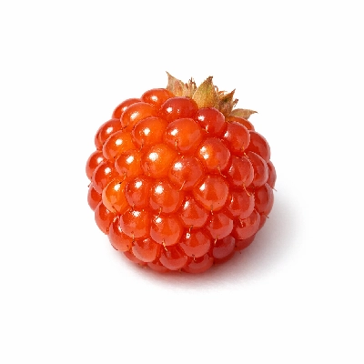 Salmonberries raw (alaska native)