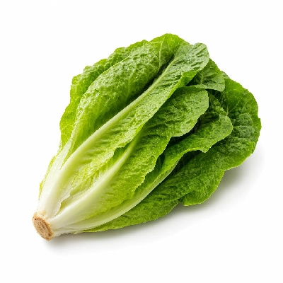 Scores Salad Bar Romaine Lettuce