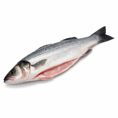 Sea bass mixed species raw