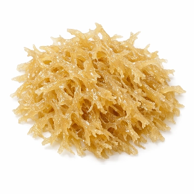 Seaweed irish moss raw