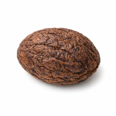 Seeds breadnuttree dried