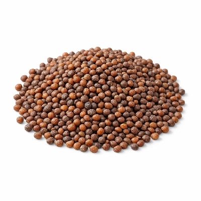 Seeds sisymbrium sp. whole dried