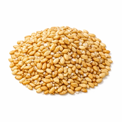 Sesame seed kernels (shelled) toasted with salt