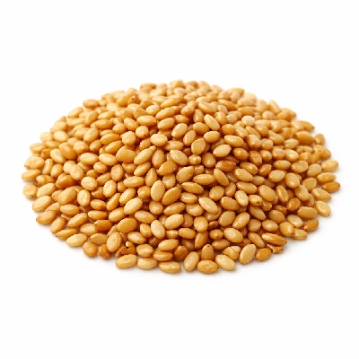 Seeds sesame whole roasted and toasted