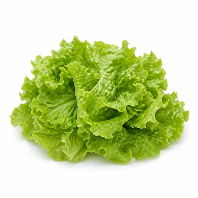 Shake Shack Burgers Lettuce