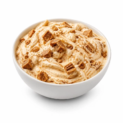 Shake Shack Concretes Cookie Butter Crunchcrete