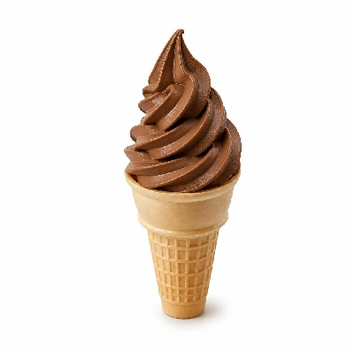 Shake Shack Single Chocolate Cone