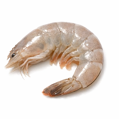 Shrimp raw
