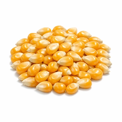 Snacks popcorn unpopped kernels