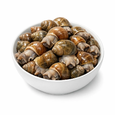 Snails raw