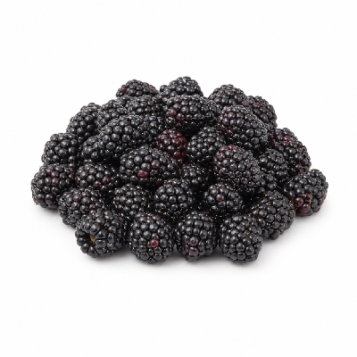 Sonic Blackberry Large