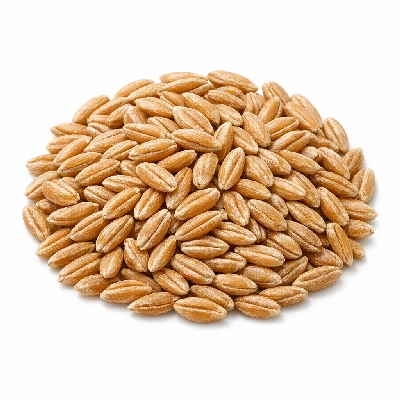 Spelt uncooked