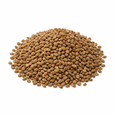Spices celery seed
