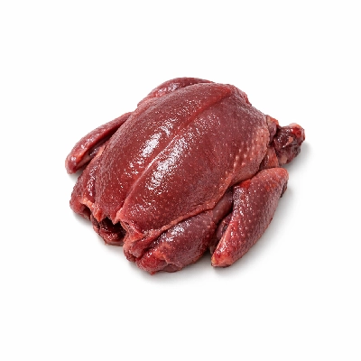 Squab pigeon meat only raw