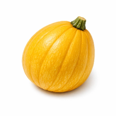 Squash indian raw navajo