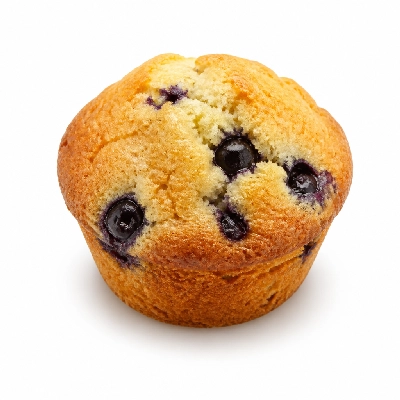 Starbucks Blueberry Muffin