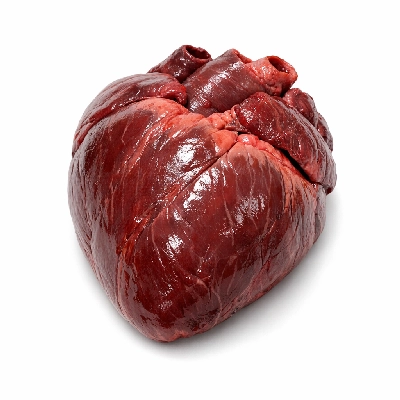 Sea lion steller heart by Alaska Native