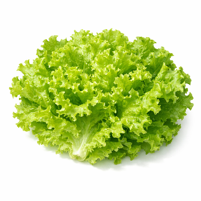 https://eato.health/food-images/feast/act/subway-lettuce-44534764-1.webp