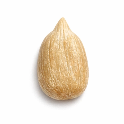 Sunflower seed kernels (shelled) dried