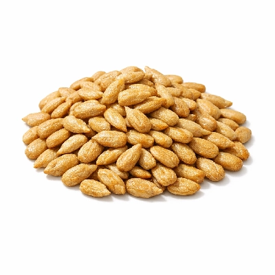 Sunflower seed kernels (shelled) dry roasted without salt