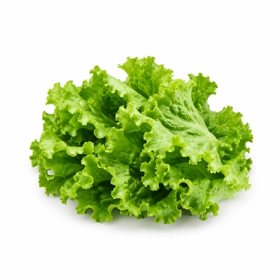 Swensons Drive-In Burger Toppings with Lettuce