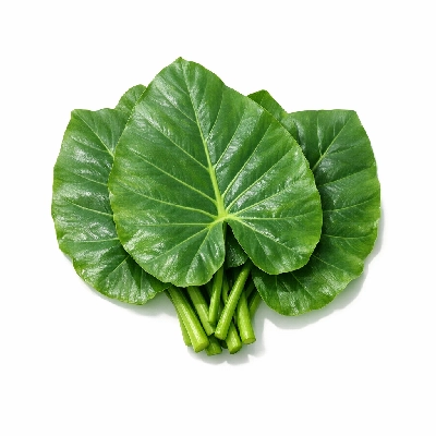 Taro leaves raw