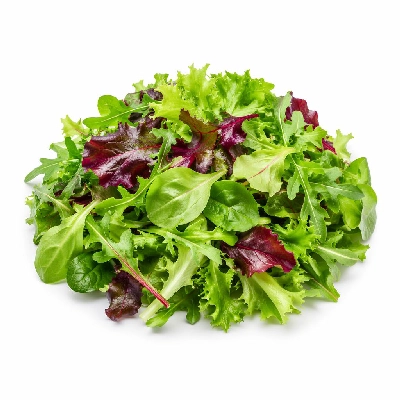 Tesco Fresh Food Four Leaf Salad