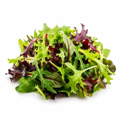 Tesco Fresh Food Italian Style Multi Leaf Salad