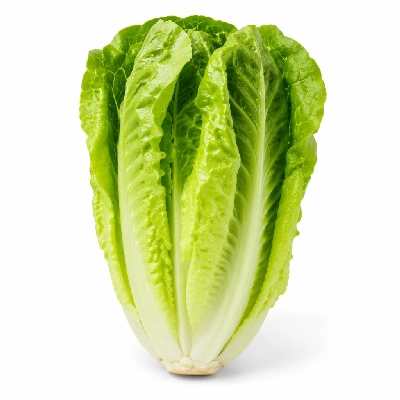 Tesco Fresh Food Market Value Romaine Lettuce