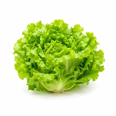 Tesco Fresh Food Organic Lettuce