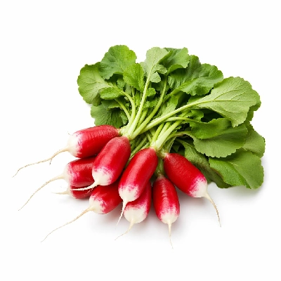 Tesco Fresh Food Radish Pack