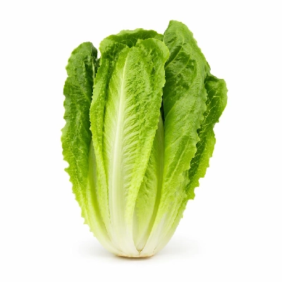 Tesco Fresh Food Romaine Lettuce Each